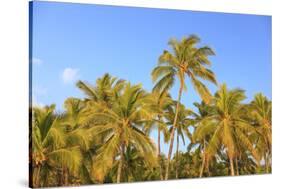 Hulupo'e Bay, Lanai Island, Hawaii, USA-Stuart Westmorland-Stretched Canvas