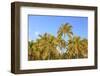 Hulupo'e Bay, Lanai Island, Hawaii, USA-Stuart Westmorland-Framed Photographic Print