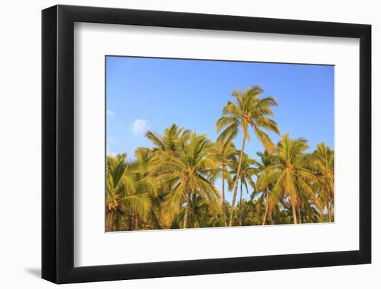 Hulupo'e Bay, Lanai Island, Hawaii, USA-Stuart Westmorland-Framed Photographic Print