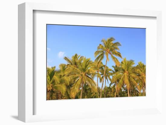 Hulupo'e Bay, Lanai Island, Hawaii, USA-Stuart Westmorland-Framed Photographic Print