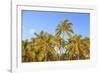 Hulupo'e Bay, Lanai Island, Hawaii, USA-Stuart Westmorland-Framed Photographic Print