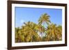 Hulupo'e Bay, Lanai Island, Hawaii, USA-Stuart Westmorland-Framed Photographic Print