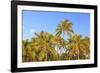 Hulupo'e Bay, Lanai Island, Hawaii, USA-Stuart Westmorland-Framed Photographic Print