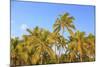 Hulupo'e Bay, Lanai Island, Hawaii, USA-Stuart Westmorland-Mounted Photographic Print