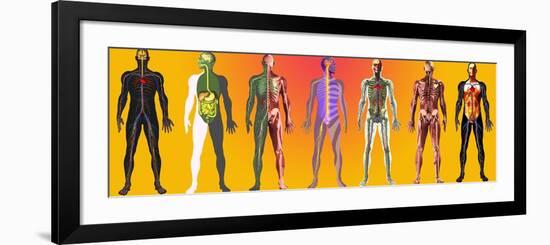 Human Anatomy ,artwork-Mehau Kulyk-Framed Photographic Print