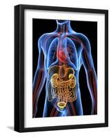 Human Anatomy, Artwork-PASIEKA-Framed Photographic Print