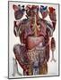 Human Anatomy, Mascagni Illustration, c.1820s-Science Source-Mounted Giclee Print