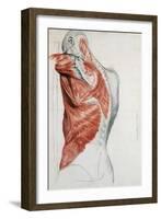 Human Anatomy, Muscles of the Torso and Shoulder-Pierre Jean David d'Angers-Framed Giclee Print