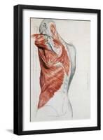 Human Anatomy, Muscles of the Torso and Shoulder-Pierre Jean David d'Angers-Framed Giclee Print