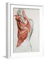 Human Anatomy, Muscles of the Torso and Shoulder-Pierre Jean David d'Angers-Framed Giclee Print