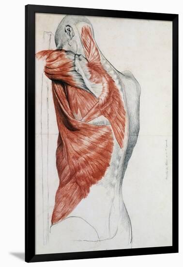 Human Anatomy, Muscles of the Torso and Shoulder-Pierre Jean David d'Angers-Framed Giclee Print