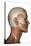 Human Anatomy of Male Facial Muscles, Profile View-null-Stretched Canvas