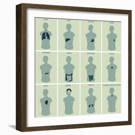 Human Anatomy Parts-guniita-Framed Art Print