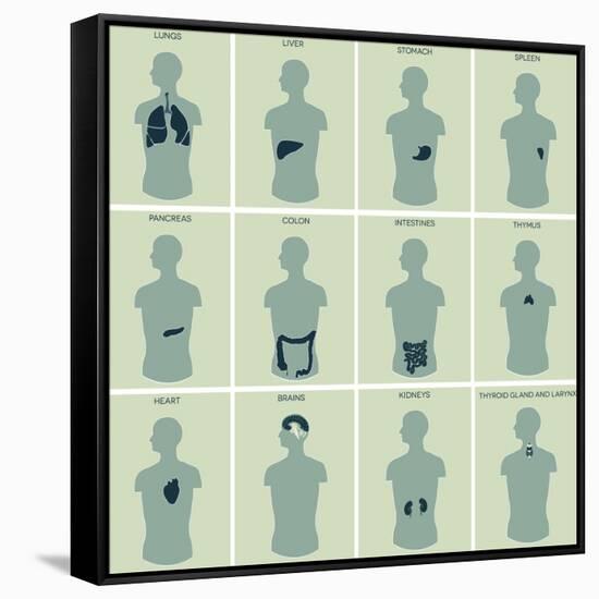 Human Anatomy Parts-guniita-Framed Stretched Canvas