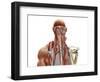 Human Anatomy Showing Deep Muscles in the Neck and Upper Back-null-Framed Art Print