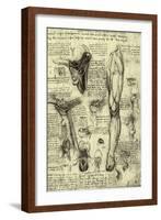 Human Anatomy-Leonardo da Vinci-Framed Giclee Print