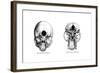 Human and Orang-Utan Skulls, 1848-null-Framed Giclee Print