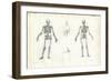 Human Being, 1863-79-Raimundo Petraroja-Framed Giclee Print