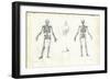 Human Being, 1863-79-Raimundo Petraroja-Framed Premium Giclee Print