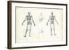 Human Being, 1863-79-Raimundo Petraroja-Framed Giclee Print