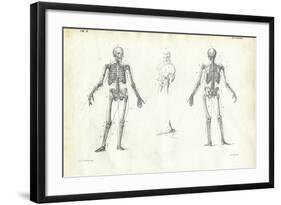 Human Being, 1863-79-Raimundo Petraroja-Framed Giclee Print