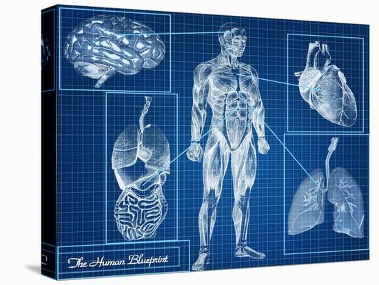 Human Blueprint-Digital Storm-Stretched Canvas