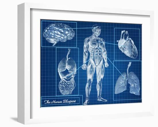 Human Blueprint-Digital Storm-Framed Art Print