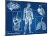 Human Blueprint-Digital Storm-Mounted Art Print