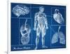 Human Blueprint-Digital Storm-Framed Art Print