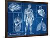 Human Blueprint-Digital Storm-Framed Art Print