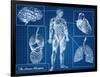 Human Blueprint-Digital Storm-Framed Art Print