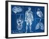 Human Blueprint-Digital Storm-Framed Art Print