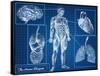 Human Blueprint-Digital Storm-Framed Stretched Canvas