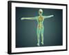 Human Body Showing Skeletal System, Arteries, Veins, and Nervous System-null-Framed Art Print