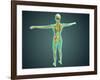 Human Body Showing Skeletal System, Arteries, Veins, and Nervous System-null-Framed Art Print