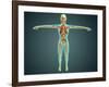 Human Body Showing Skeletal System, Arteries, Veins, and Nervous System-null-Framed Art Print