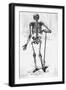 Human Body Skeleton-Bettmann-Framed Giclee Print