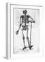 Human Body Skeleton-Bettmann-Framed Giclee Print