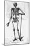 Human Body Skeleton-Bettmann-Mounted Giclee Print