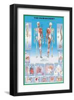 Human Body-null-Framed Art Print