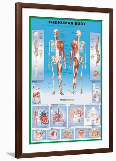 Human Body-null-Framed Art Print