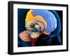 Human Brain Anatomy, Artwork-Roger Harris-Framed Photographic Print