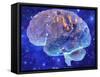 Human Brain, Computer Artwork-Mehau Kulyk-Framed Stretched Canvas