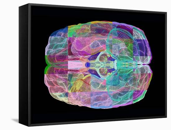 Human Brain, Computer Artwork-PASIEKA-Framed Stretched Canvas