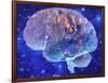 Human Brain, Computer Artwork-Mehau Kulyk-Framed Photographic Print
