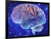 Human Brain, Computer Artwork-Mehau Kulyk-Framed Photographic Print