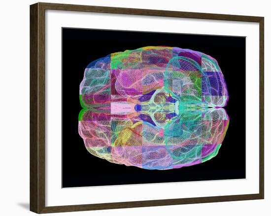 Human Brain, Computer Artwork-PASIEKA-Framed Photographic Print