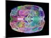 Human Brain, Computer Artwork-PASIEKA-Mounted Photographic Print