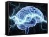 Human Brain, Conceptual Artwork-PASIEKA-Framed Stretched Canvas