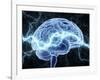 Human Brain, Conceptual Artwork-PASIEKA-Framed Photographic Print